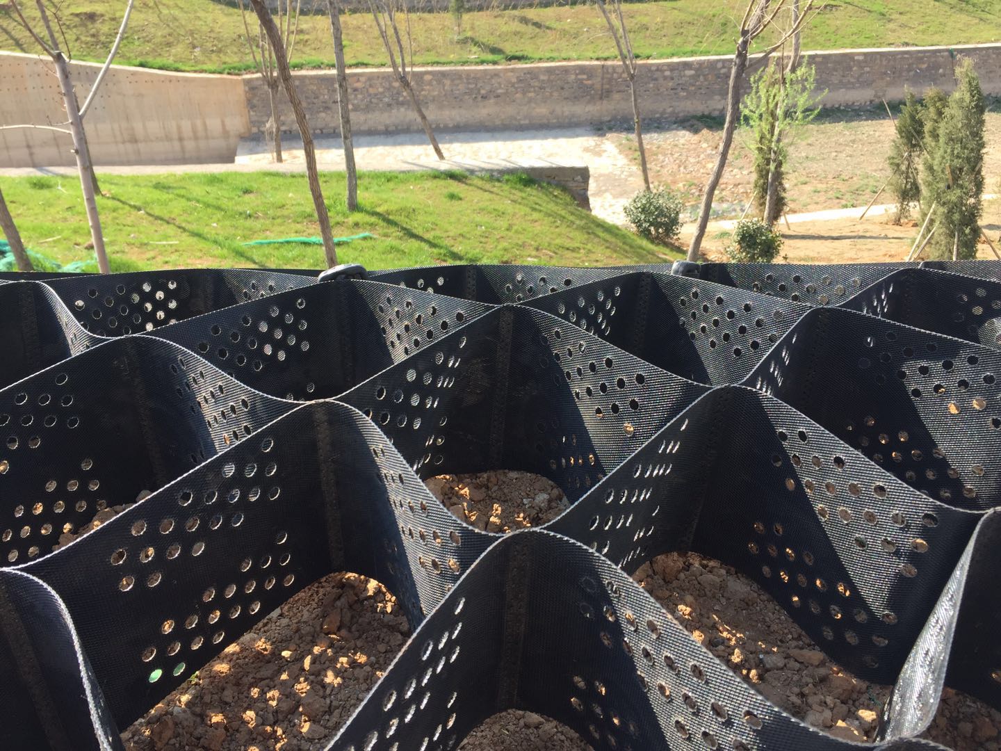 蜂巢格室 蜂巢格室