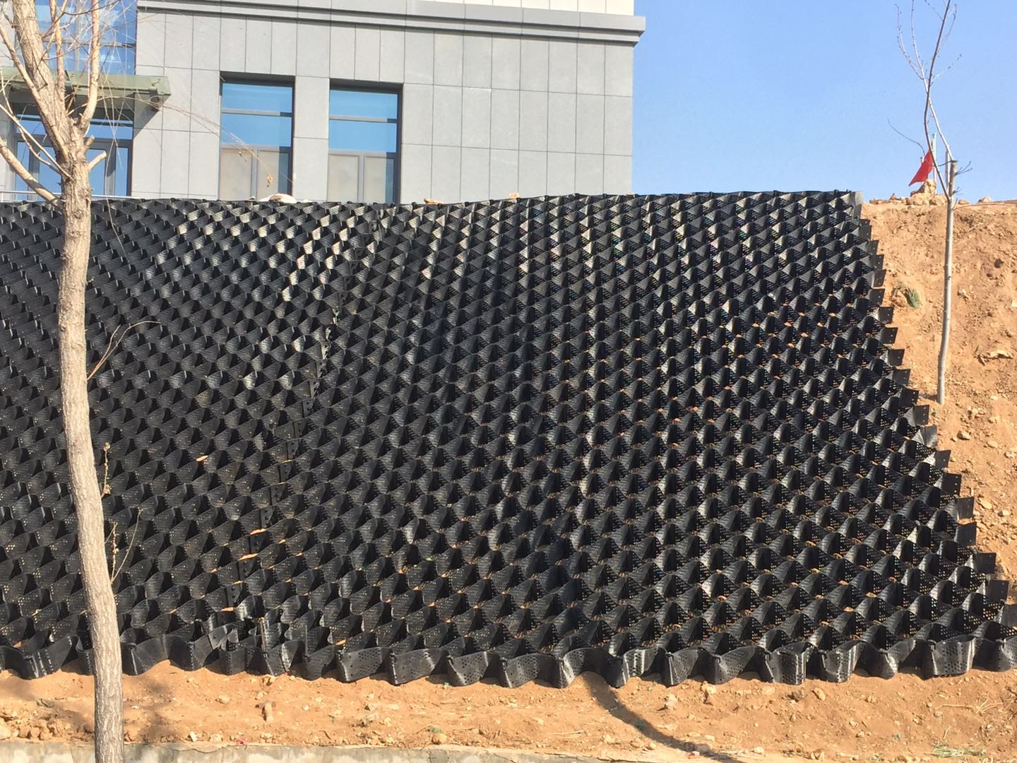 蜂巢格室 蜂巢格室