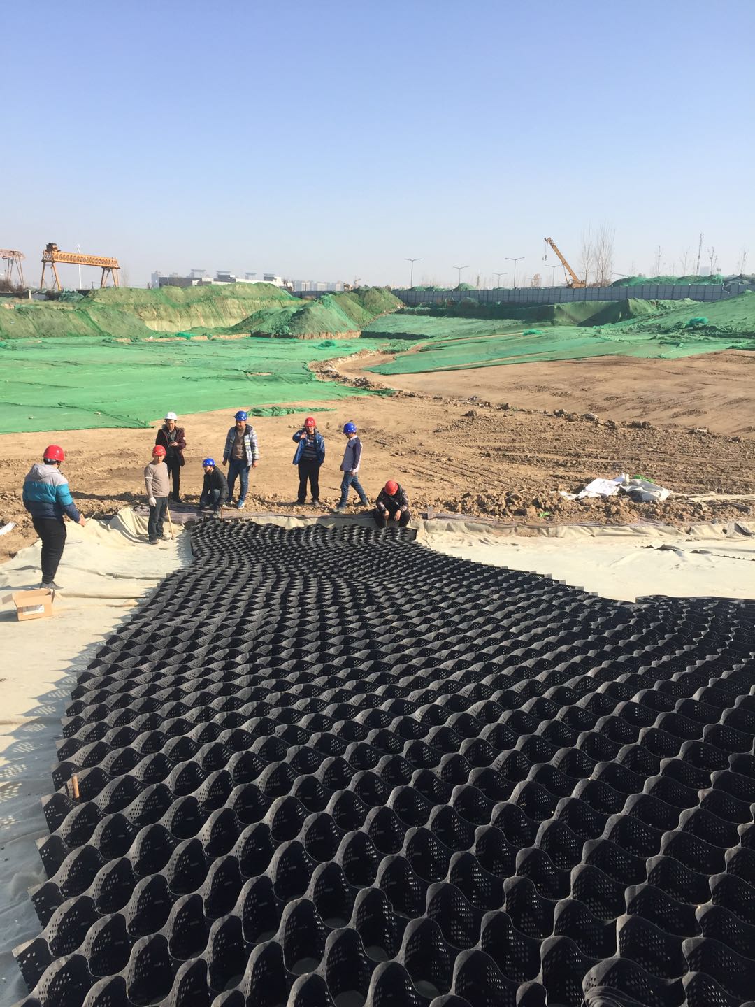 PCA蜂巢格室 PCA蜂巢格室